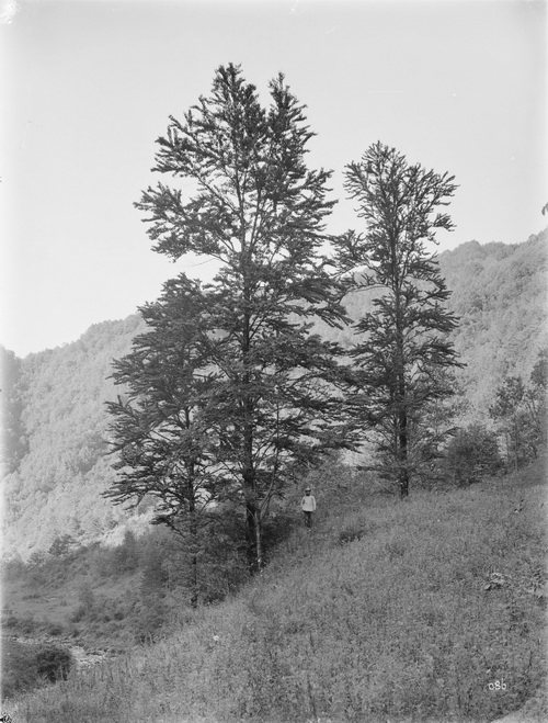 086 1910-06-16湖北省  房县 4_调整大小.jpg