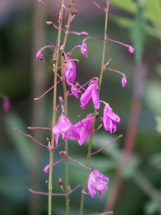 P8127778_调整大小.JPG