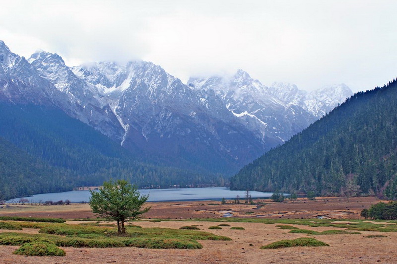 DSCF0151 copy_调整大小.JPG