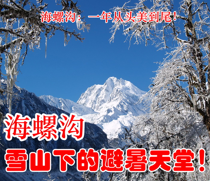 1封面a_调整大小.jpg