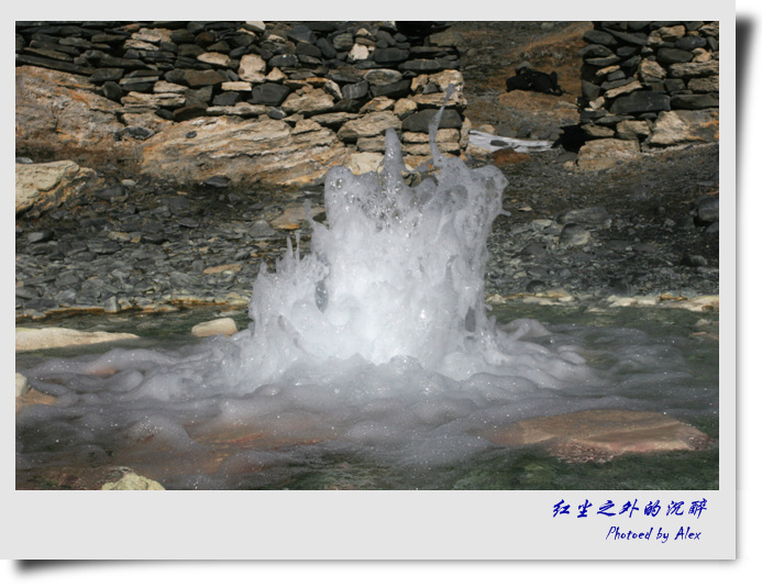 IMG_8354.jpg