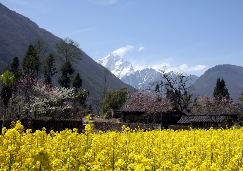 IMG_1656_调整大小.JPG