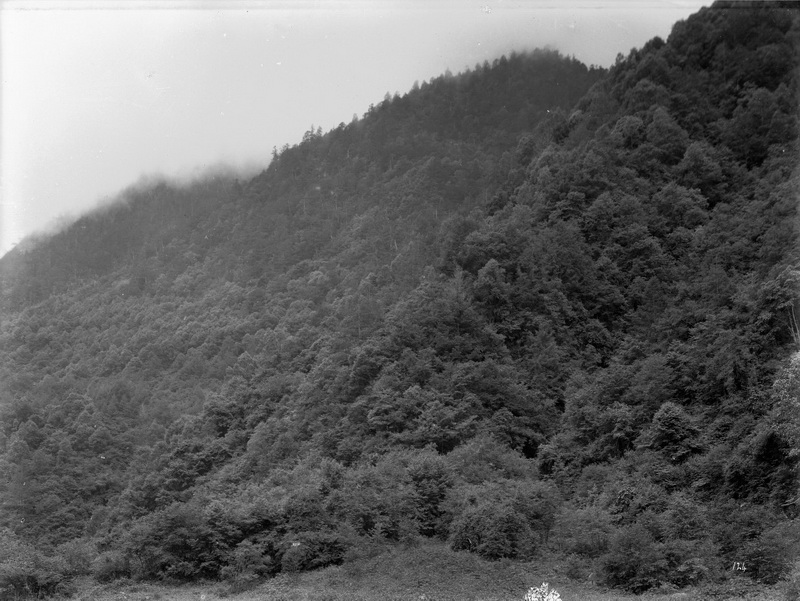 1908-06-22卧龙1_调整大小.jpg