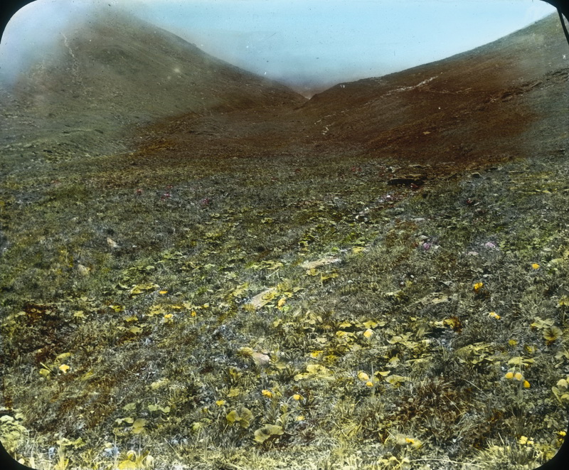 1908-06-24巴朗山6_调整大小.jpg