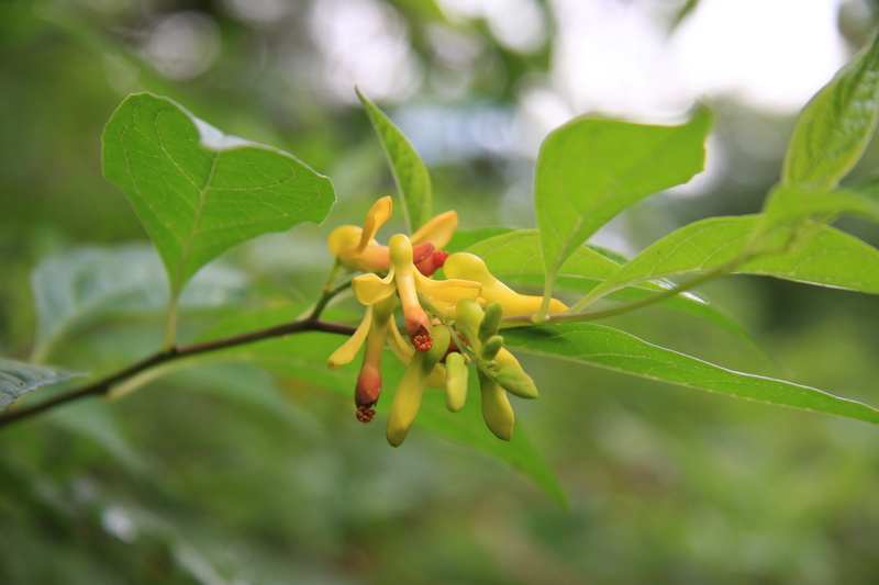 IMG_8006_调整大小.JPG