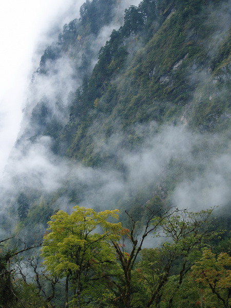 PA204502_调整大小.JPG