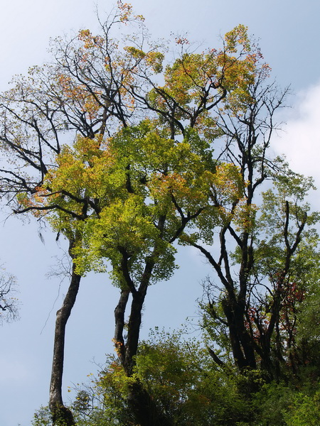 P9269909_调整大小.jpg