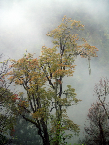 PA204525_调整大小.jpg
