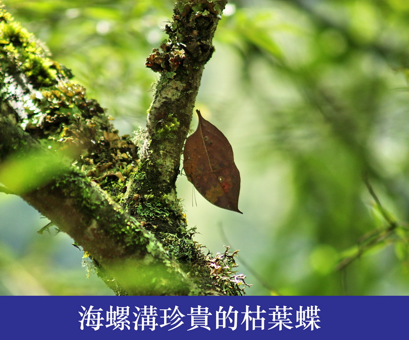 46_调整大小.JPG