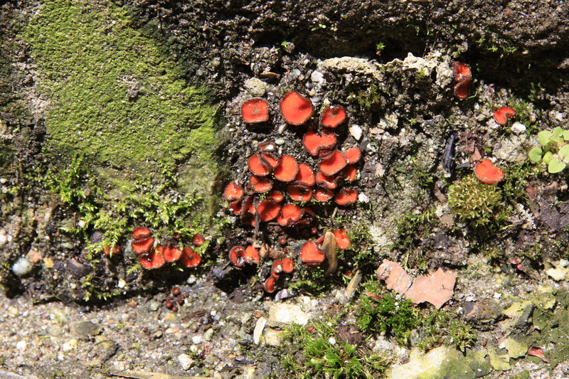 IMG_8897_调整大小.JPG