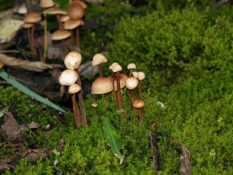 P8260123_调整大小.JPG