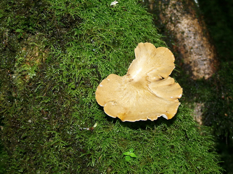 P6221730_调整大小.JPG