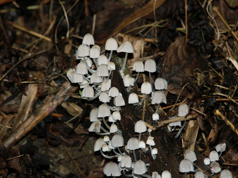 P9074383_调整大小.JPG