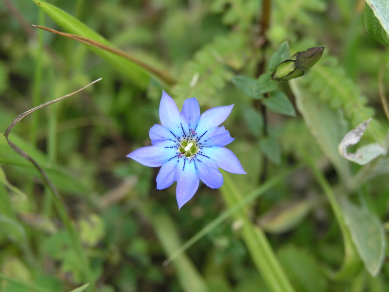 P8051531_调整大小.JPG