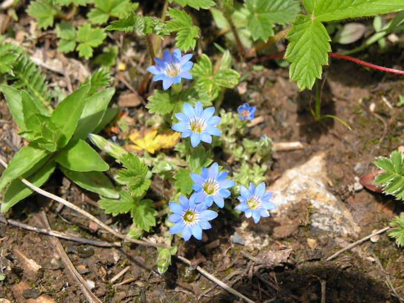 P6088299_调整大小.JPG