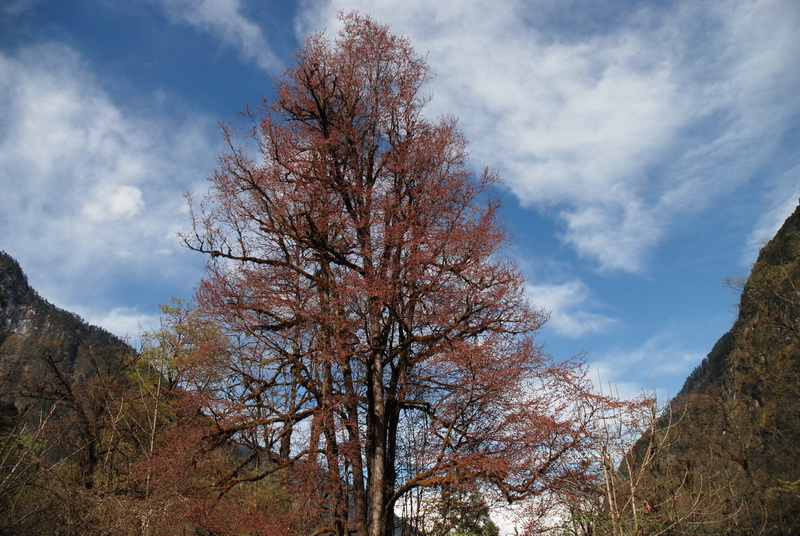 DSC_0506_调整大小.JPG