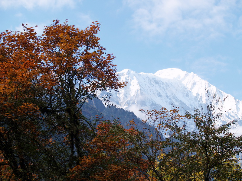 PA276045_调整大小.JPG