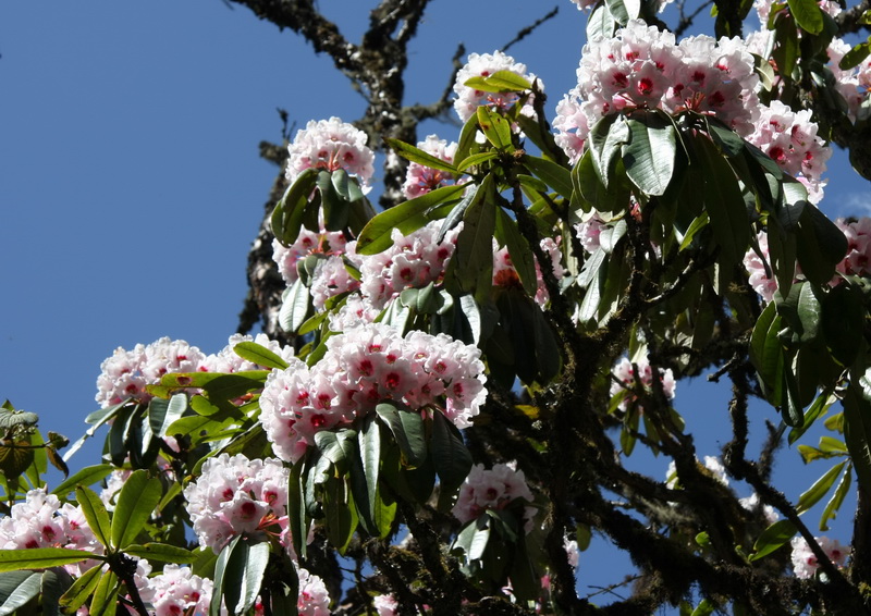 IMG_2309_调整大小.jpg