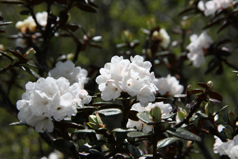 IMG_7367_调整大小.JPG