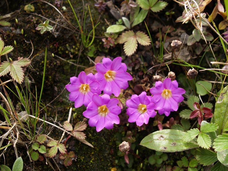 P8167947_调整大小.JPG