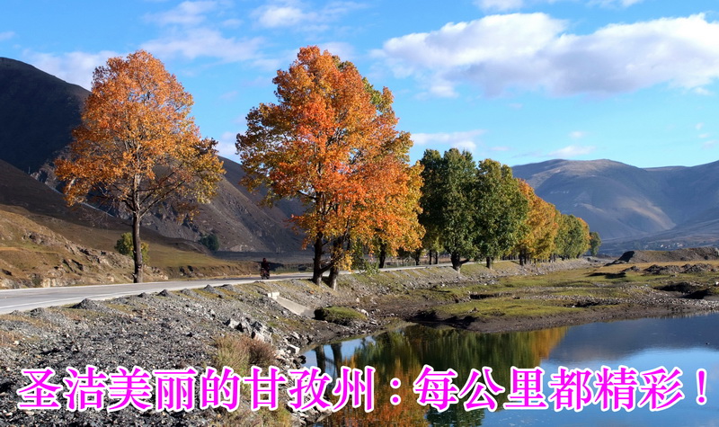 DSCF0280_调整大小.JPG