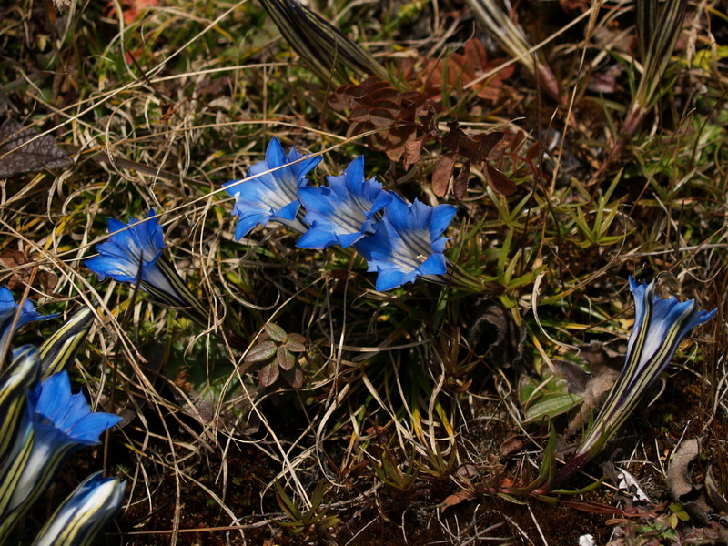 PA142654_调整大小.JPG