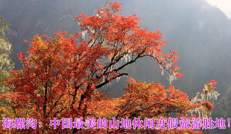 IMG_2812_调整大小.JPG