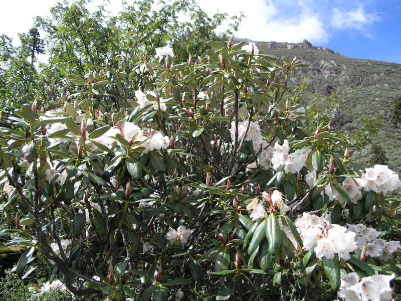 P6210865_调整大小.JPG
