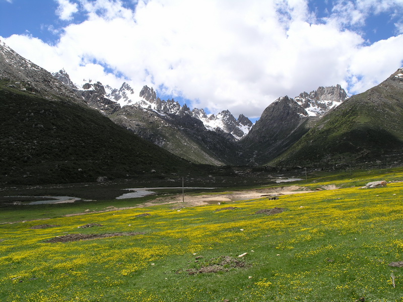 P6210932_调整大小.JPG