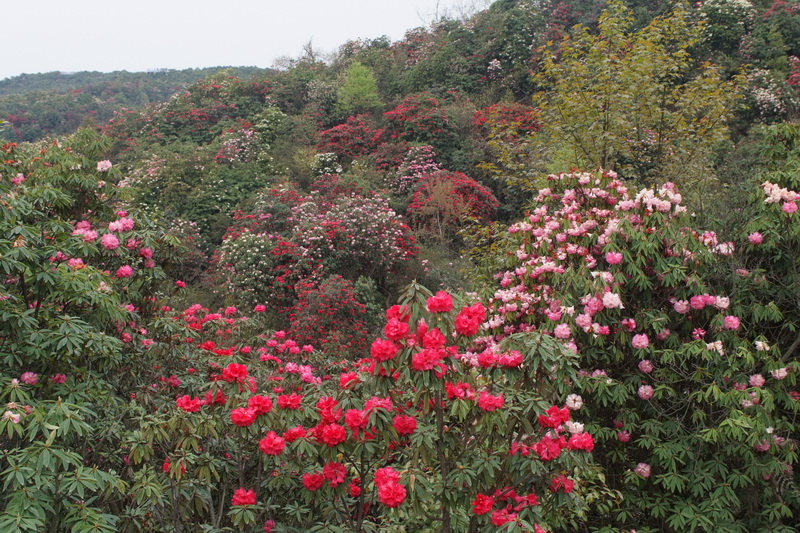 DSCF2035_调整大小.JPG
