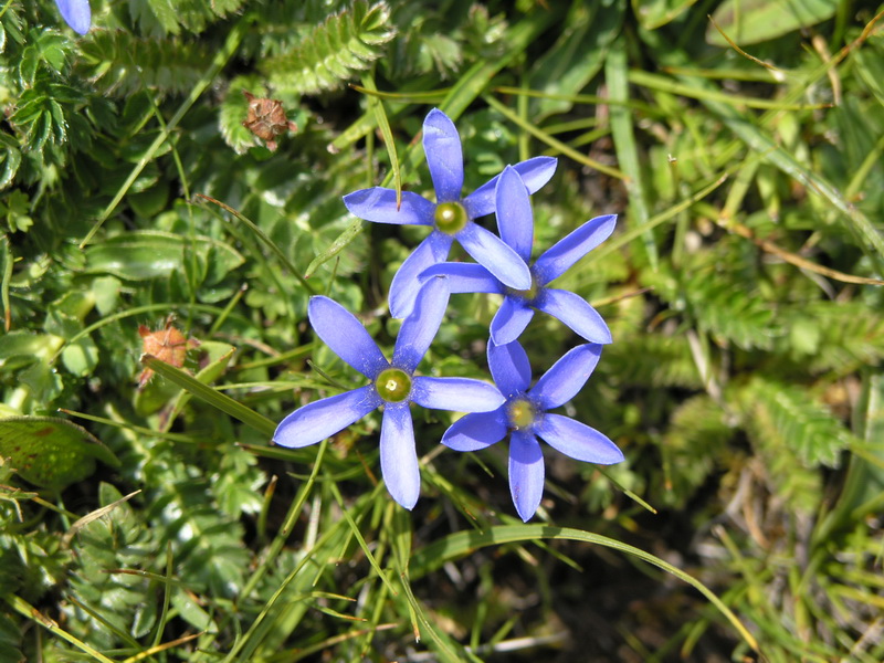 P8133845_调整大小.JPG