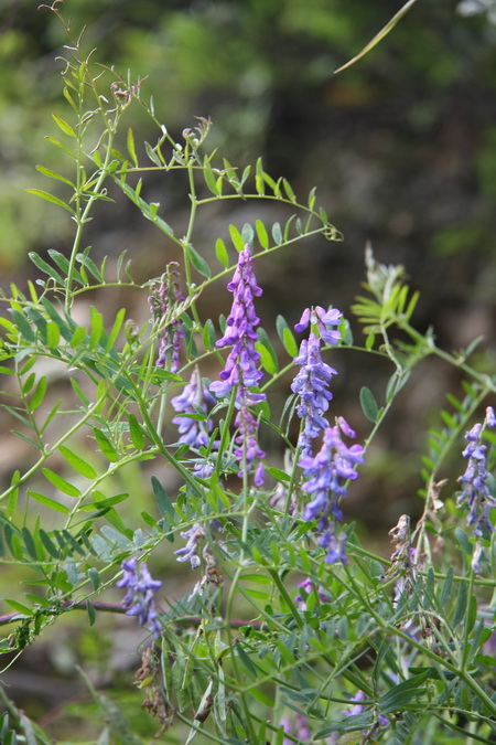 IMG_5423_调整大小.JPG