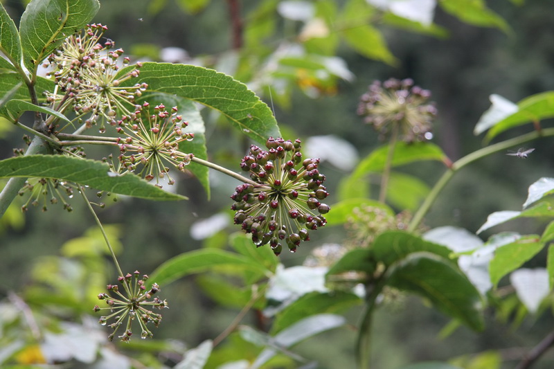IMG_6504_调整大小.jpg