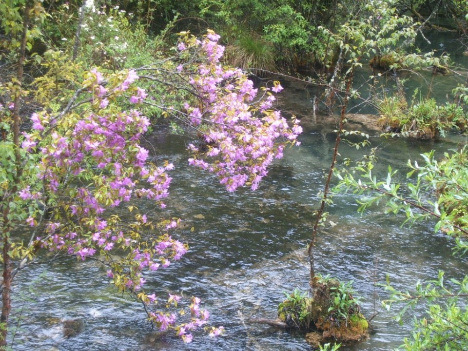 S4302116.JPG