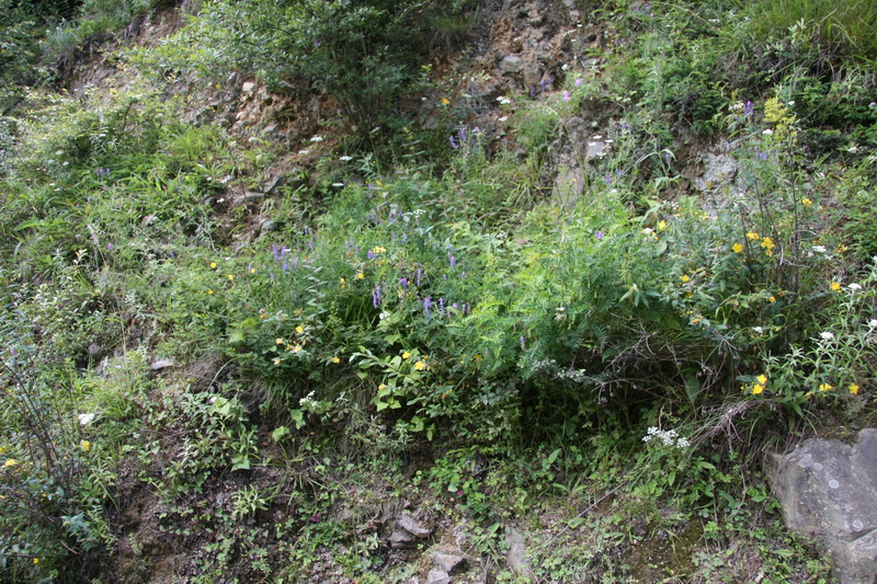 IMG_5421_调整大小.JPG