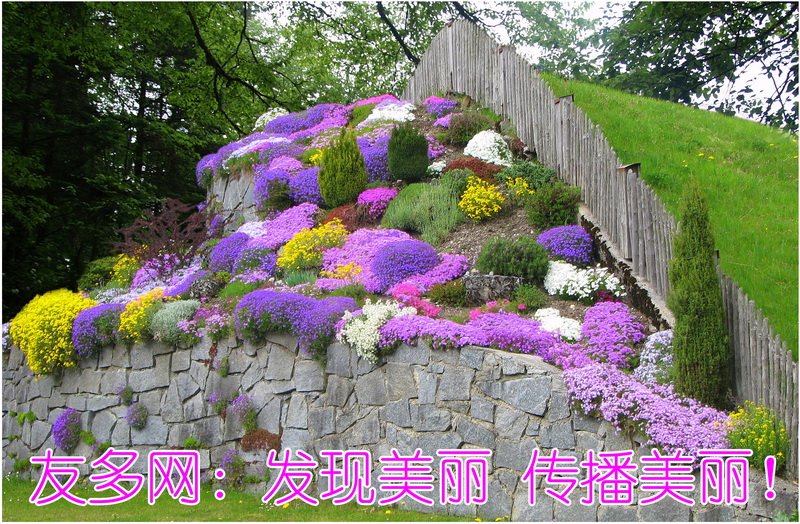 2009年6月下旬封面 _调整大小.jpg