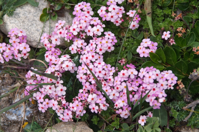 DSCF7504_调整大小.jpg