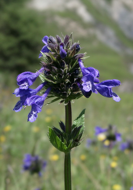 07290034_调整大小.JPG 07290034_调整大小.JPG