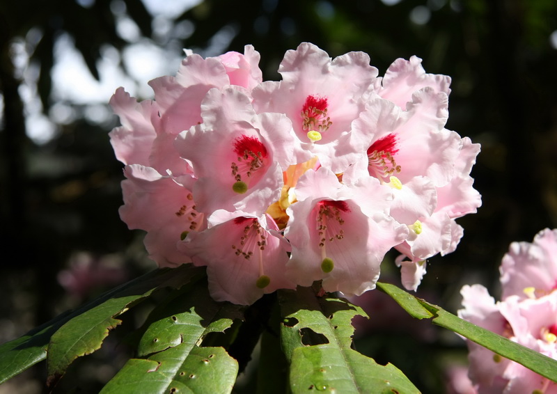 IMG_2054_调整大小.jpg