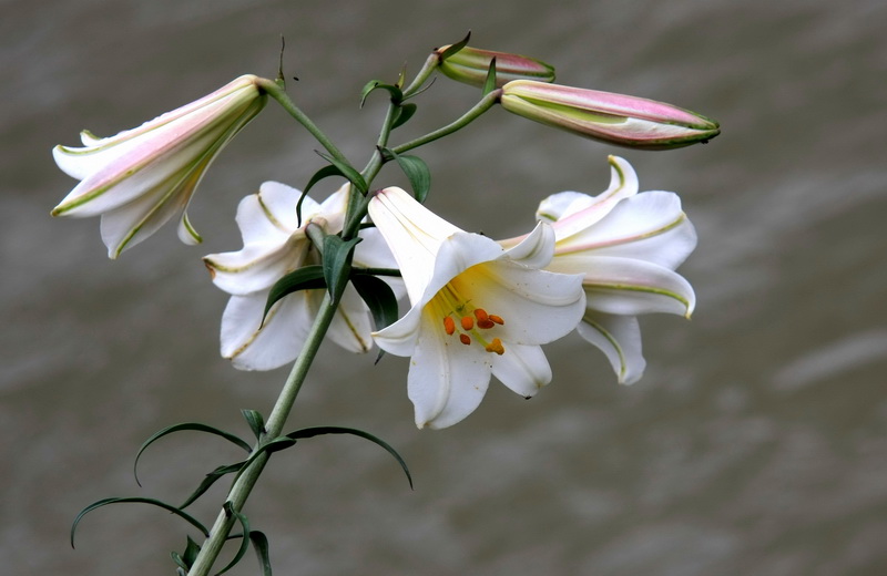 IMG_7360_调整大小.JPG