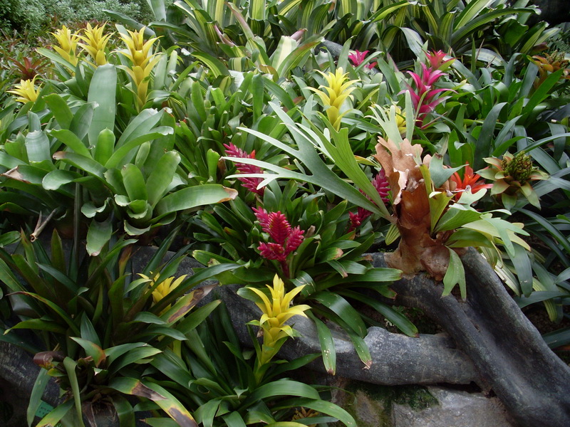 SL373578_调整大小.JPG