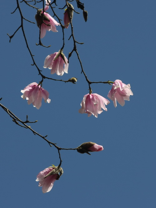 IMG_0875_调整大小.jpg