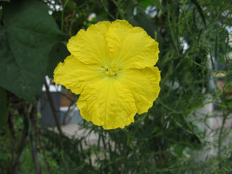 IMG_0562_调整大小.JPG