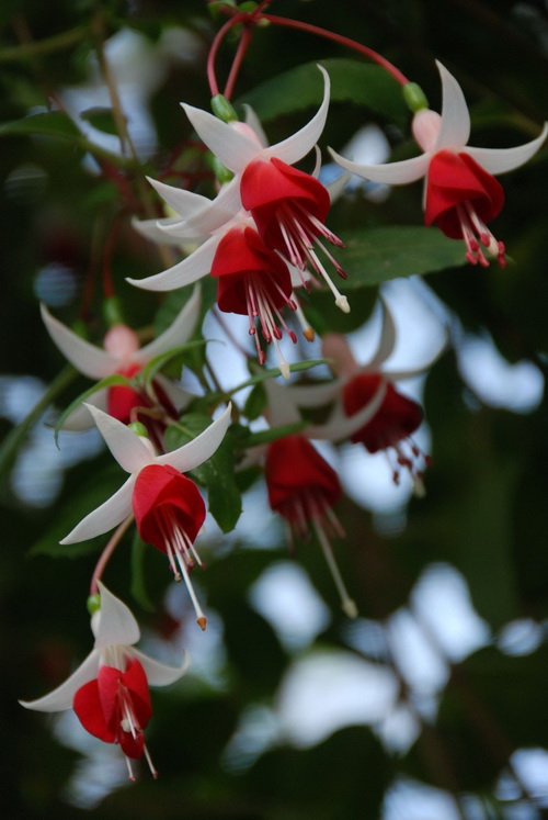 DSC_3405_调整大小.JPG
