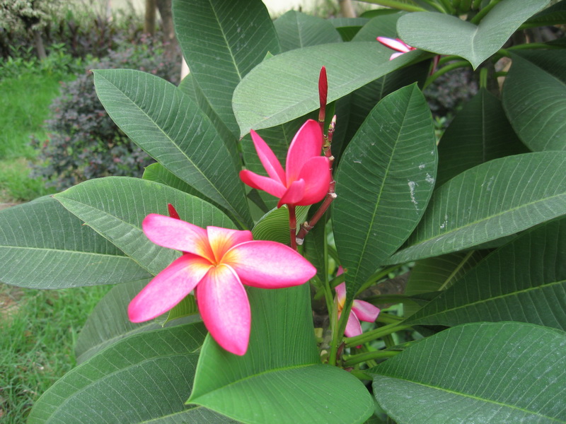 IMG_0794_调整大小.JPG