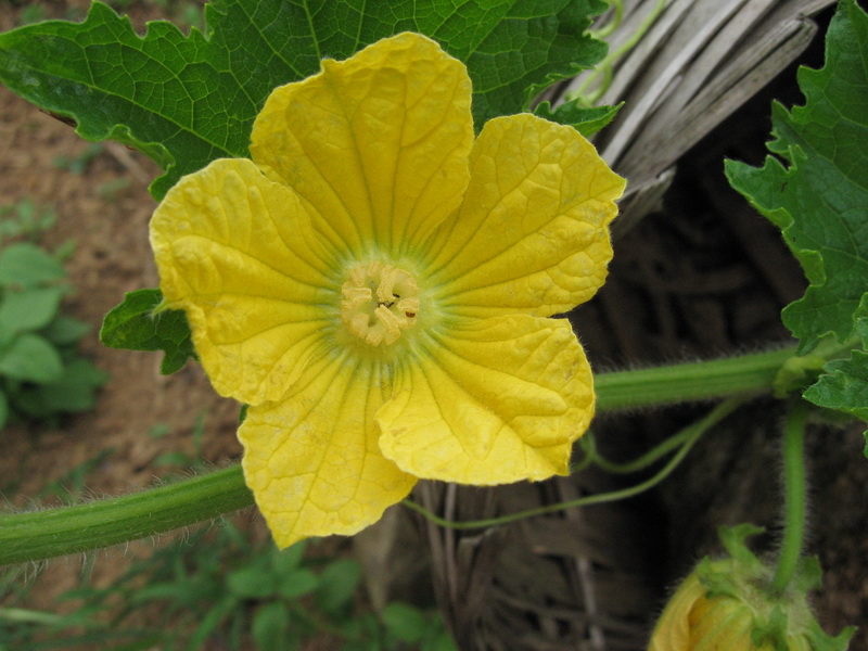 IMG_0978_调整大小.JPG