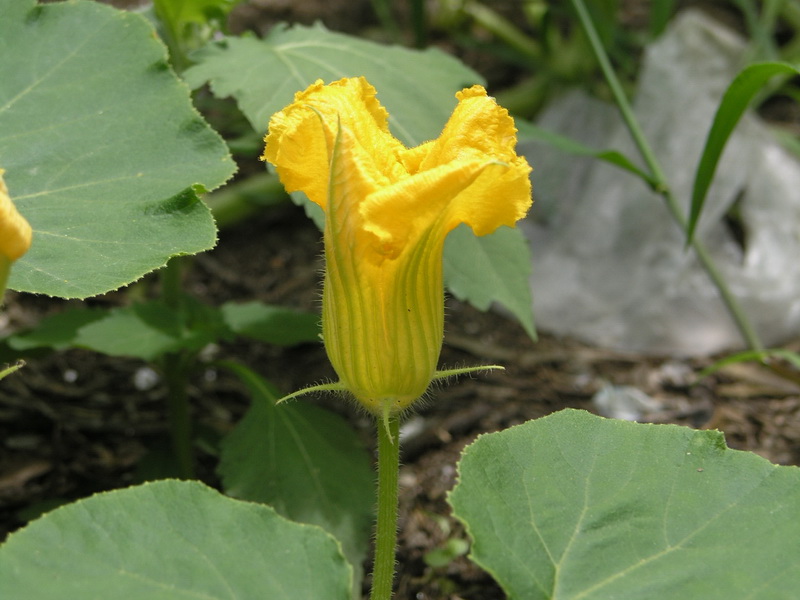 P7212388_调整大小.jpg