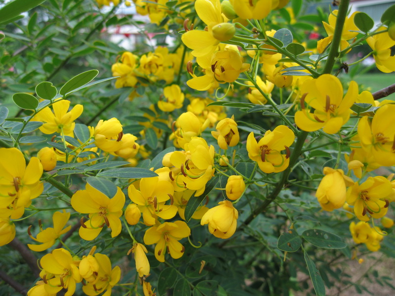 IMG_1300_调整大小.JPG