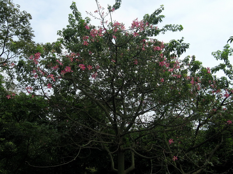 IMG_1122_调整大小.JPG