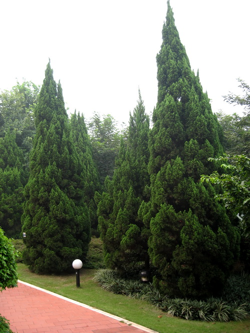IMG_1383_调整大小.JPG